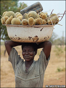 Fruit carrier