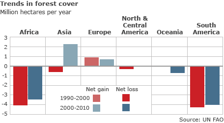 forest trends